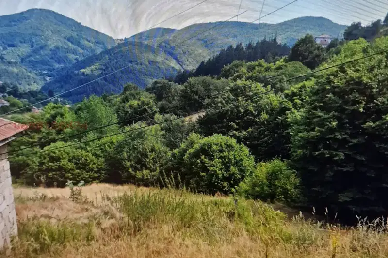 Plot in Oblast Smolyan, Davidkovo