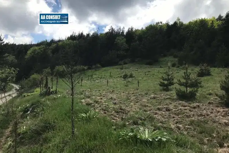 Plot in Oblast Smolyan, Glogino