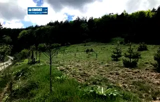 Парцел в Смолян, с. Глогино