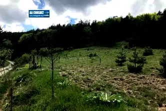 Парцел в Смолян, с. Глогино