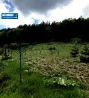Парцел в Смолян, с. Глогино