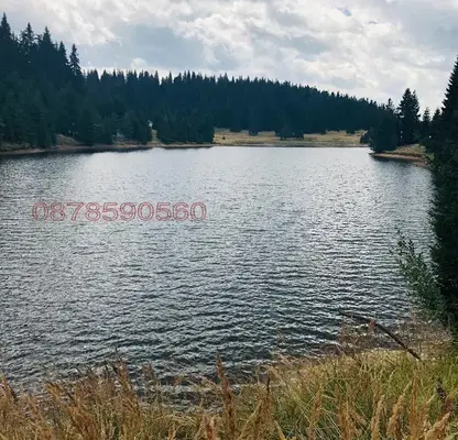 Снимка 3 — Парцел в Смолян, с. Кутела