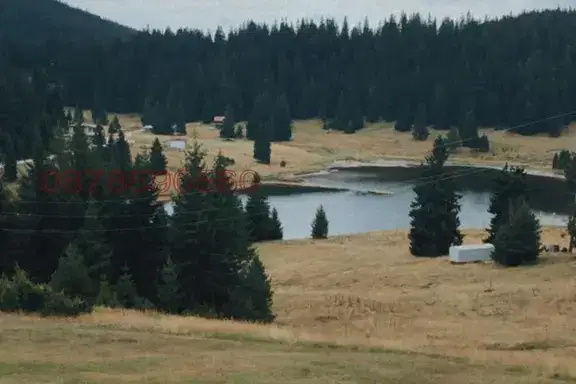 Plot in Oblast Smolyan, Kutela