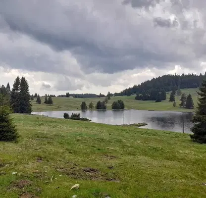 Photo 4 — Plot in Oblast Smolyan, Kutela