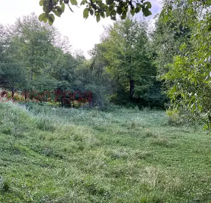 Photo 2 — Plot in Oblast Smolyan, Levochevo