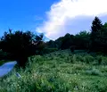 Снимка 4 — Парцел в Смолян, с. Левочево