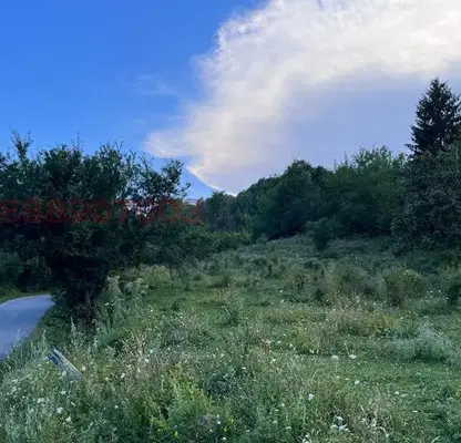 Photo 4 — Plot in Oblast Smolyan, Levochevo
