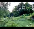 Снимка 2 — Парцел в Смолян, с. Левочево