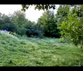 Снимка 4 — Парцел в Смолян, с. Левочево