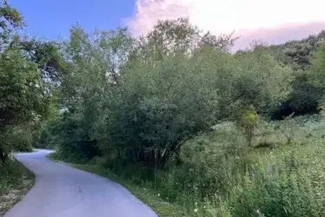 Plot in Oblast Smolyan, Levochevo
