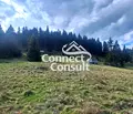 Снимка 3 — Парцел в Смолян, с. Момчиловци