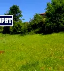 Парцел в Смолян, с. Павелско