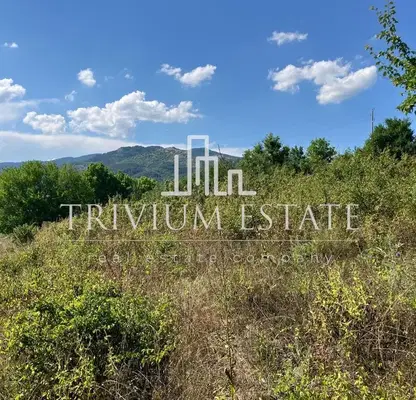 Photo 4 — Plot in Oblast Smolyan, Pavelsko