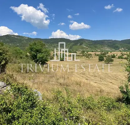 Photo 5 — Plot in Oblast Smolyan, Pavelsko