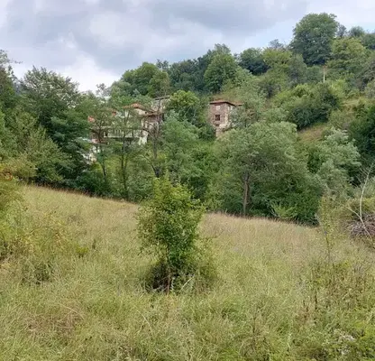 Снимка 4 — Парцел в Смолян, с. Полковник Серафимово