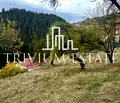 Снимка 3 — Парцел в Смолян, с. Стойките