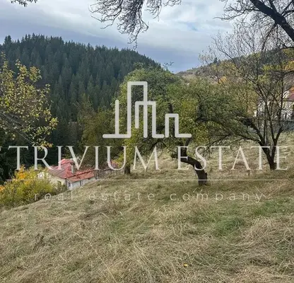 Снимка 3 — Парцел в Смолян, с. Стойките