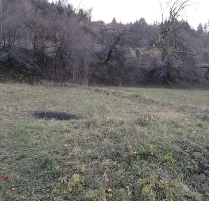 Photo 5 — Plot in Oblast Smolyan, Zabyrdo
