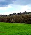 Парцел в София, Божурище
