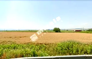 Парцел в София, Божурище