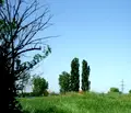 Снимка 3 — Парцел в София, Божурище