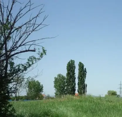 Photo 3 — Plot in област София, Bojurishte