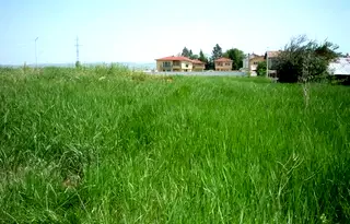 Парцел в София, Божурище