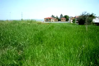 Парцел в София, Божурище