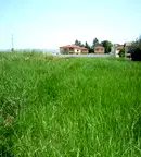 Парцел в София, Божурище