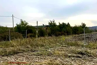 Парцел в София, Божурище