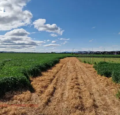 Photo 2 — Plot in област София, Bojurishte