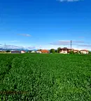 Парцел в София, Божурище