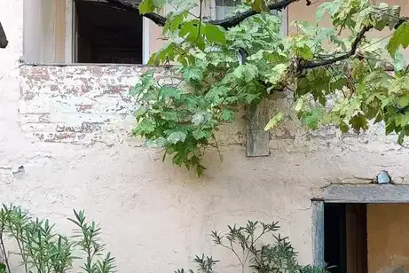 Plot in област София, Ботев