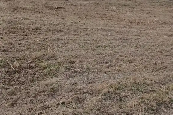 Парцел в София, Ботев