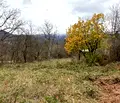 Снимка 2 — Парцел в София, Ботев