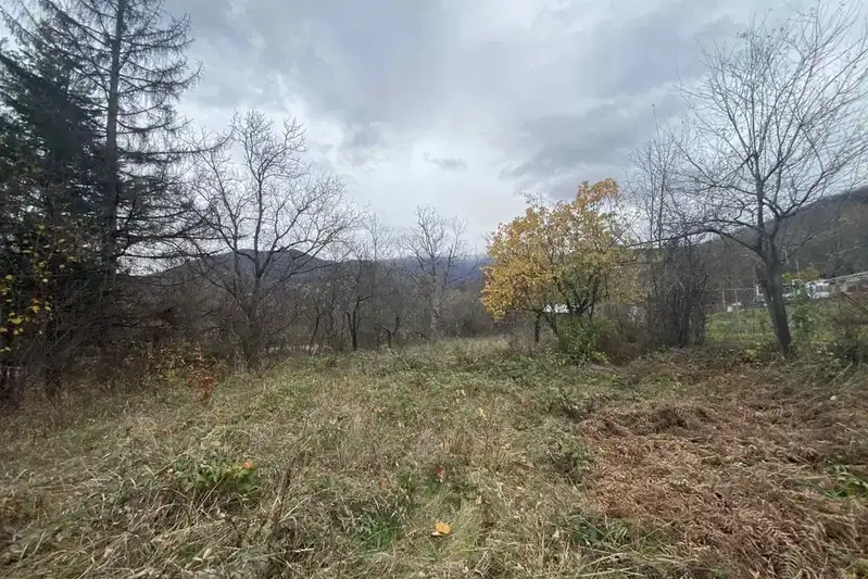 Plot in област София, Ботев