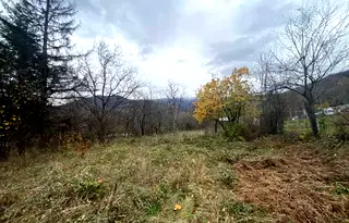 Парцел в София, Ботев