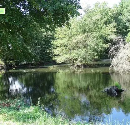 Photo 4 — Plot in област София, Dolna Banya