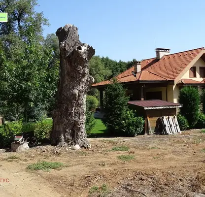 Photo 5 — Plot in област София, Dolna Banya