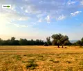 Снимка 2 — Парцел в София, Долна баня