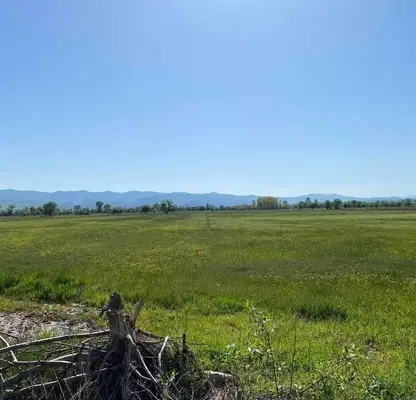 Photo 3 — Plot in област София, Dolna Banya