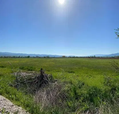 Photo 4 — Plot in област София, Dolna Banya