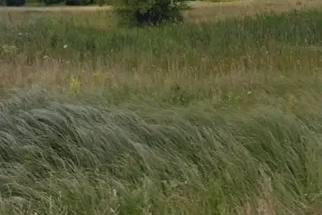 Plot in област София, Dolna Banya