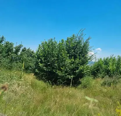Photo 5 — Plot in област София, Dolna Banya