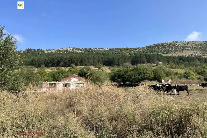 Парцел в София, Драгоман