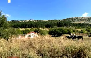 Парцел в София, Драгоман