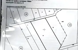 Парцел в София, Елин Пелин