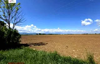 Парцел в София, Елин Пелин