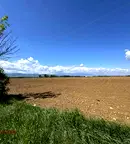 Парцел в София, Елин Пелин