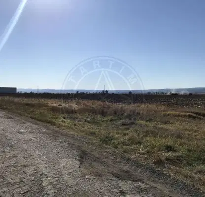 Photo 3 — Plot in област София, Elin Pelin
